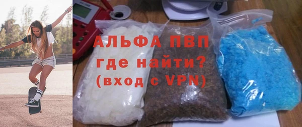 прущие грибы Горно-Алтайск
