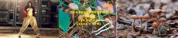 Альфа ПВП Горняк