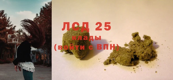 прущие грибы Горно-Алтайск