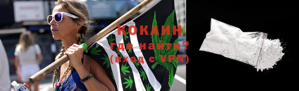 прущие грибы Горно-Алтайск