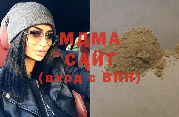 прущие грибы Горно-Алтайск
