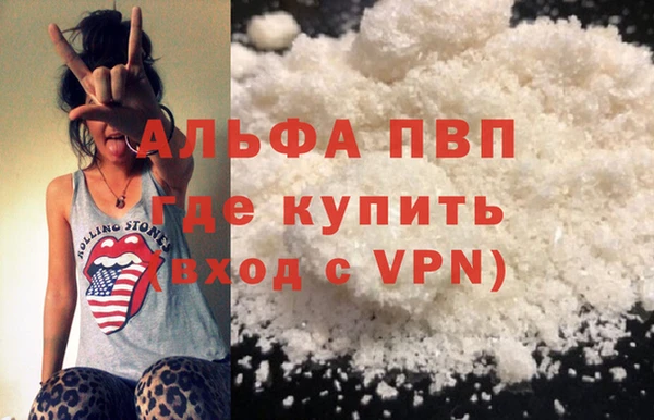 прущие грибы Горно-Алтайск