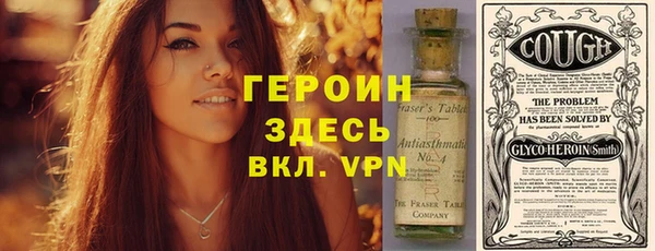 прущие грибы Горно-Алтайск
