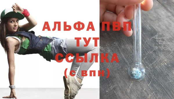 прущие грибы Горно-Алтайск