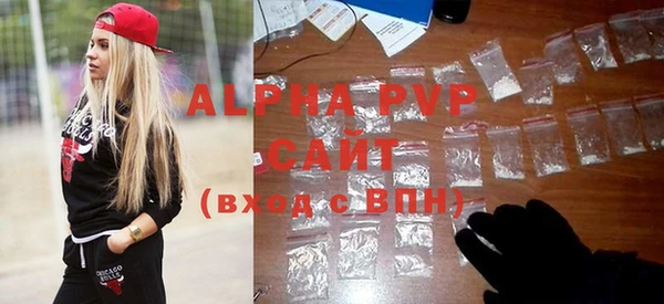 Альфа ПВП Горняк