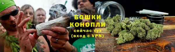 стафф Горнозаводск