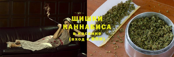 Альфа ПВП Горняк